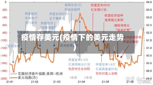 疫情存美元(疫情下的美元走势)