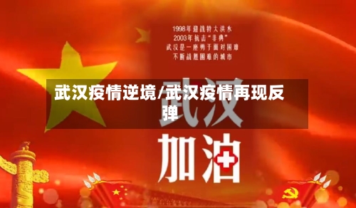 武汉疫情逆境/武汉疫情再现反弹