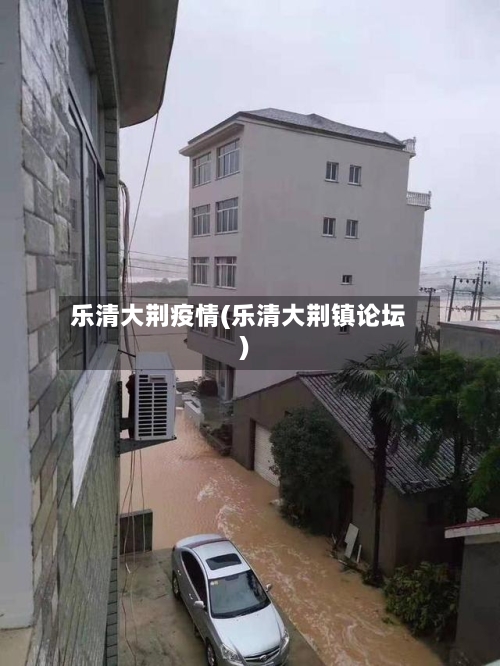 乐清大荆疫情(乐清大荆镇论坛)-第3张图片