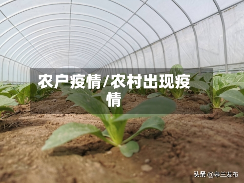 农户疫情/农村出现疫情