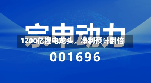 1200亿锂电龙头，净利预计翻倍-第2张图片