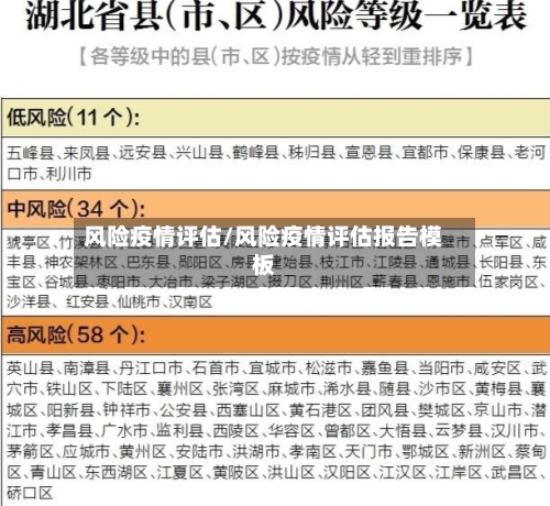 风险疫情评估/风险疫情评估报告模板