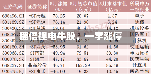 翻倍锂电牛股，一字涨停-第2张图片