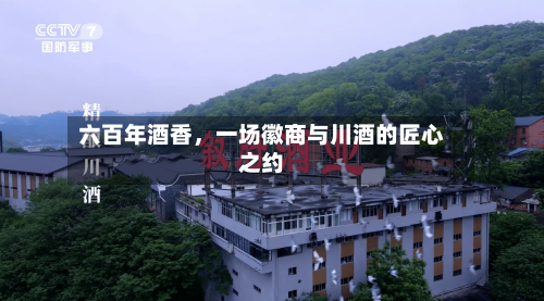 六百年酒香，一场徽商与川酒的匠心之约