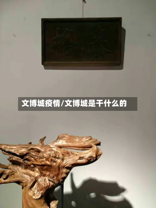 文博城疫情/文博城是干什么的