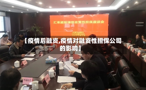 【疫情后融资,疫情对融资性担保公司的影响】