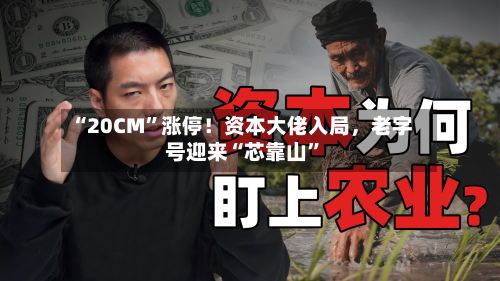 “20CM”涨停！资本大佬入局，老字号迎来“芯靠山”-第3张图片