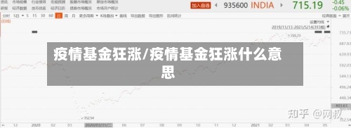 疫情基金狂涨/疫情基金狂涨什么意思-第3张图片