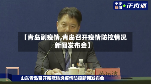 【青岛副疫情,青岛召开疫情防控情况新闻发布会】-第2张图片