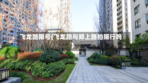 飞龙路限号(飞龙路与郑上路拍限行吗)