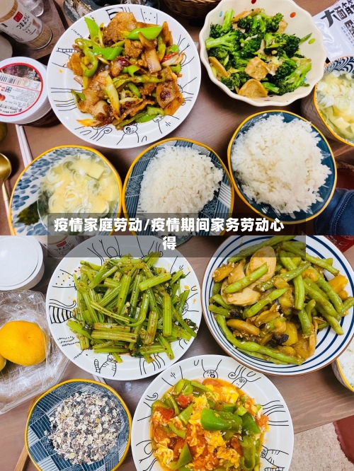 疫情家庭劳动/疫情期间家务劳动心得-第3张图片