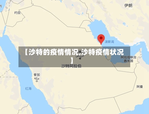 【沙特的疫情情况,沙特疫情状况】-第2张图片