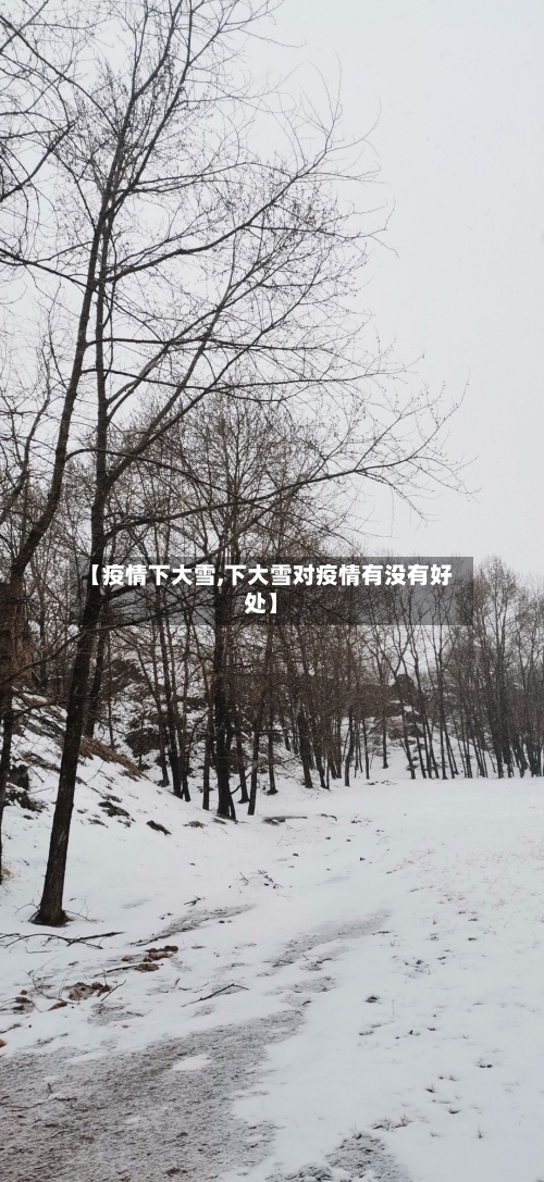 【疫情下大雪,下大雪对疫情有没有好处】